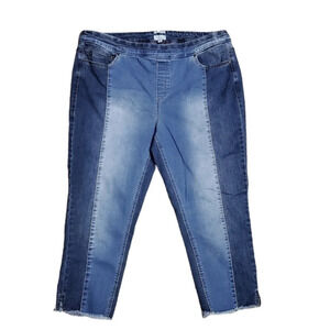 Westbound Petites Women's Tummy Control High Rise Jeans 20W